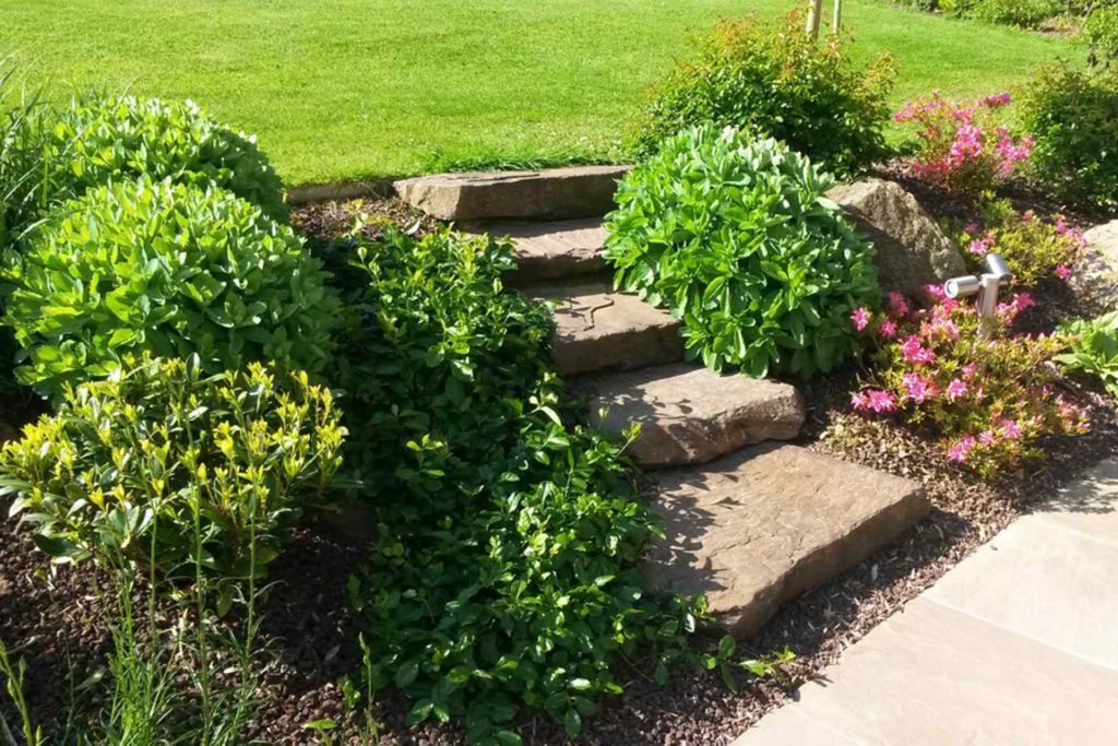 Serrault Jardins, paysagiste crée des accès, entre les différents espaces de votre jardin.